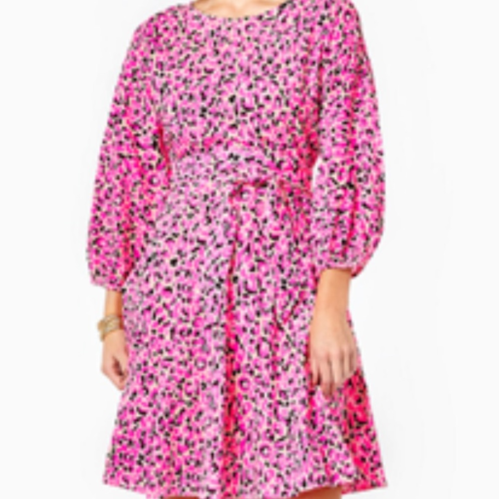 COPY - Cynthia Swing Dress